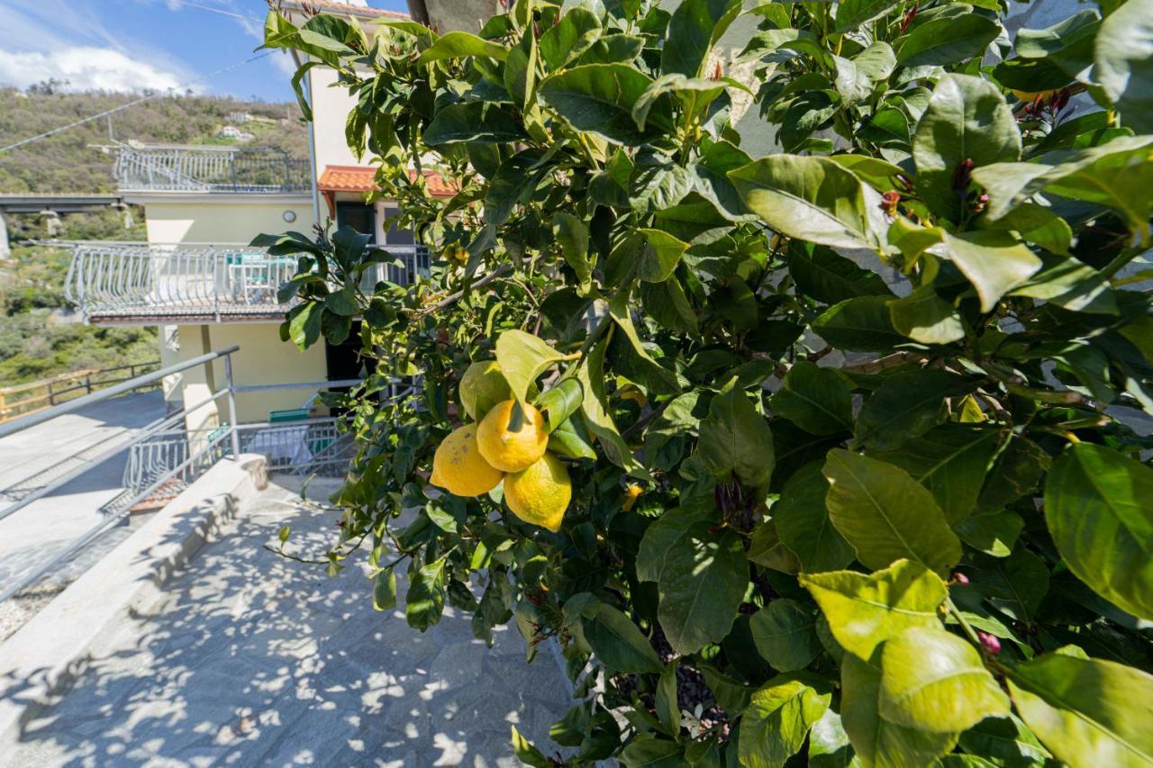 Casa Vacanza Il Portico Moneglia Eksteriør billede